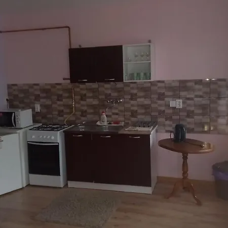 Gecse-villa 公寓 Sárospatak