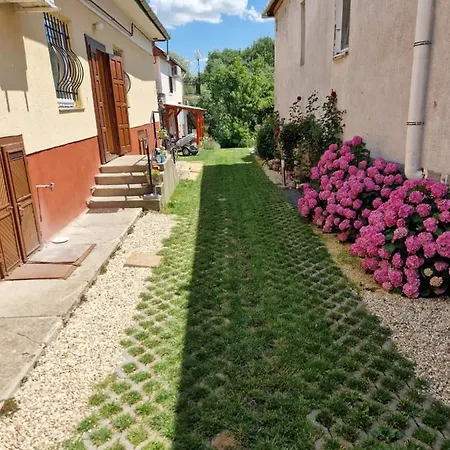 公寓 Gecse-villa Sárospatak